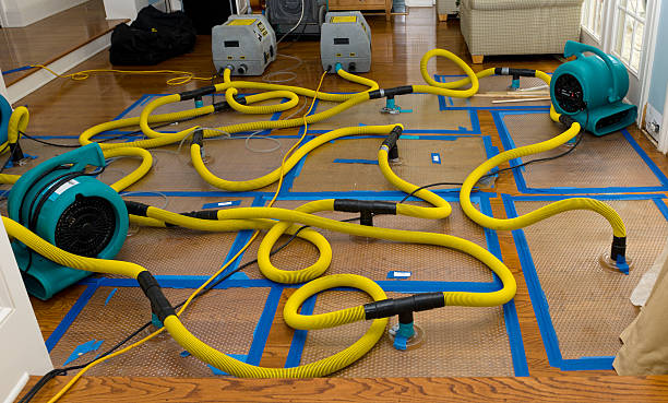 Professional Flood Damage Restoration technician working in Ruth, MI